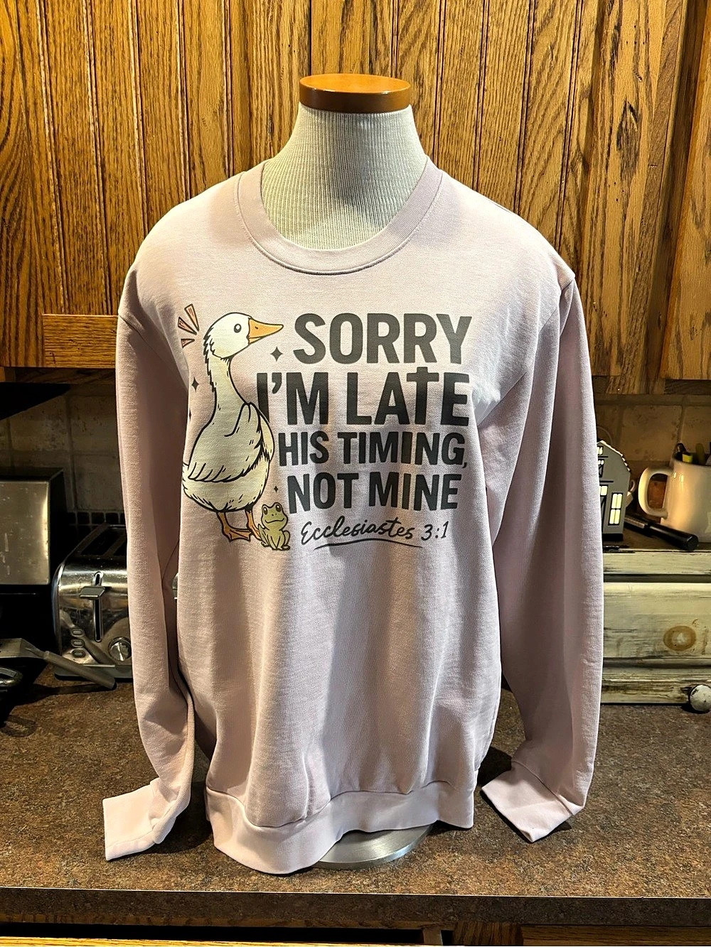 Christian Graphic Sweatshirt in Pink Size Medium Like New sorry I’m late
